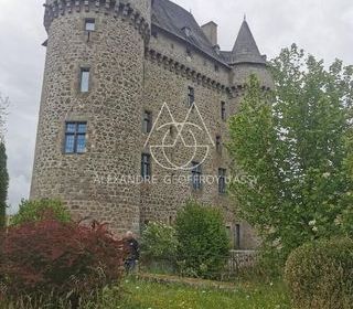  Propri�t�/ch�teau � vendre 15 + pi�ces 3000 m�