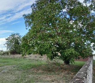  Terrain � vendre 570 m�