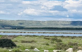  Appartement � vendre 2 pi�ces 40 m�