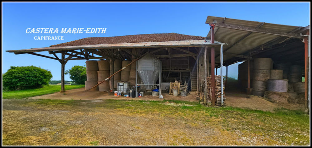 � vendre  Propri�t�/ch�teau Vic-Fezensac (32190)