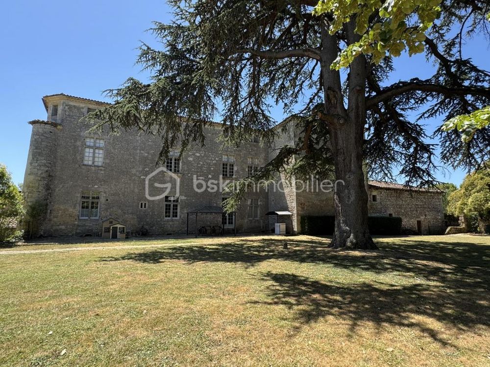 � vendre  Propri�t�/ch�teau Condom (32100)