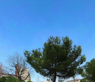  Appartement � vendre 3 pi�ces 51 m�