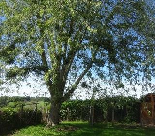  Maison � vendre 3 pi�ces 59 m�