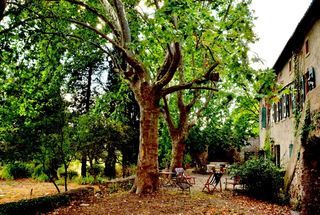  Maison � vendre 11 pi�ces 215 m�