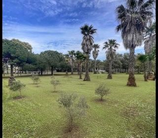  Terrain � vendre 2001 m�