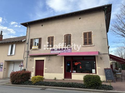 Commerces/Negoce 90000 01990 Chaneins