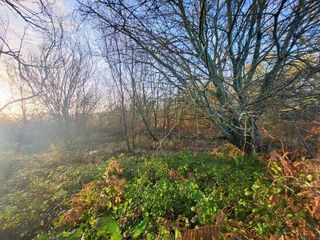  Terrain � vendre 62680 m�