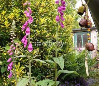  Maison � vendre 4 pi�ces 79 m�