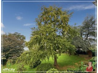  Propri�t�/ch�teau � vendre 8 pi�ces 300 m�