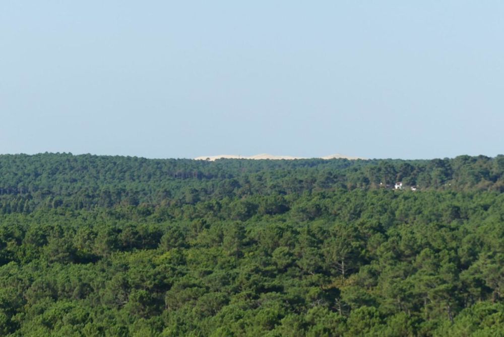 � vendre  Appartement Arcachon (33120)