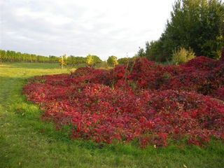  Terrain � vendre 323 m�