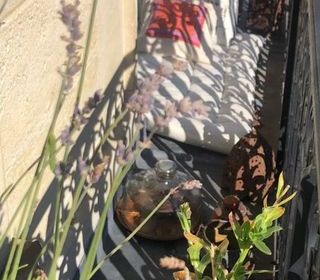  Appartement � louer 1 pi�ce 15 m�