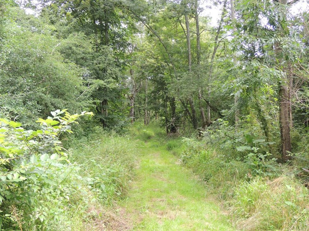 � vendre  Propri�t�/ch�teau Myennes (58440)