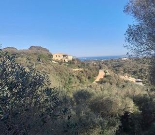  Villa � vendre 10 pi�ces 318 m�