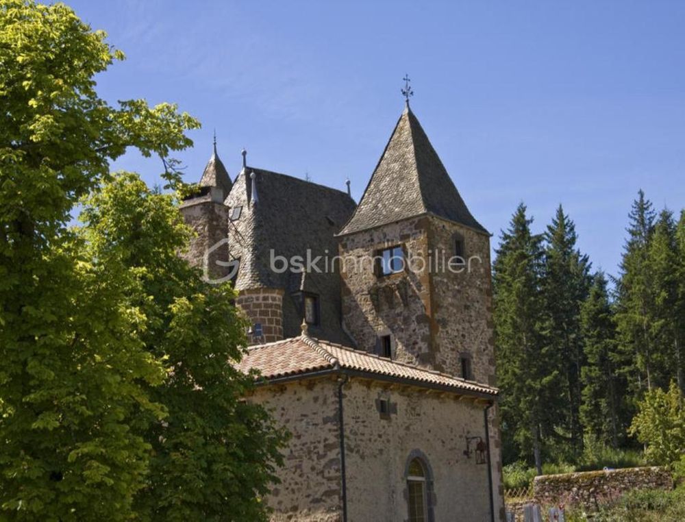 � vendre  Propri�t�/ch�teau Saint-Flour (15100)