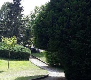  Appartement � louer 2 pi�ces 47 m�