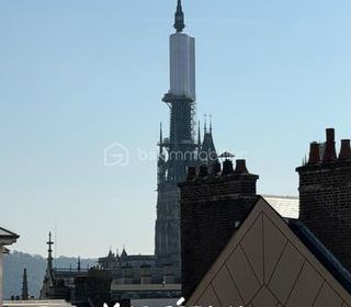  Duplex/triplex � vendre 3 pi�ces 60 m�