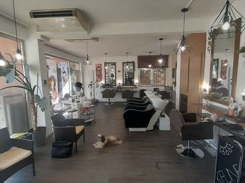 Fonds de commerce &agrave; vendre ILLKIRCH GRAFFENSTADEN (67) 67200 67400 Illkirch graffenstaden