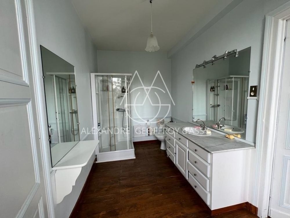 � vendre  Propri�t�/ch�teau Saint-Sauvant (86600)