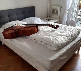  Appartement � louer 1 pi�ce 14 m�