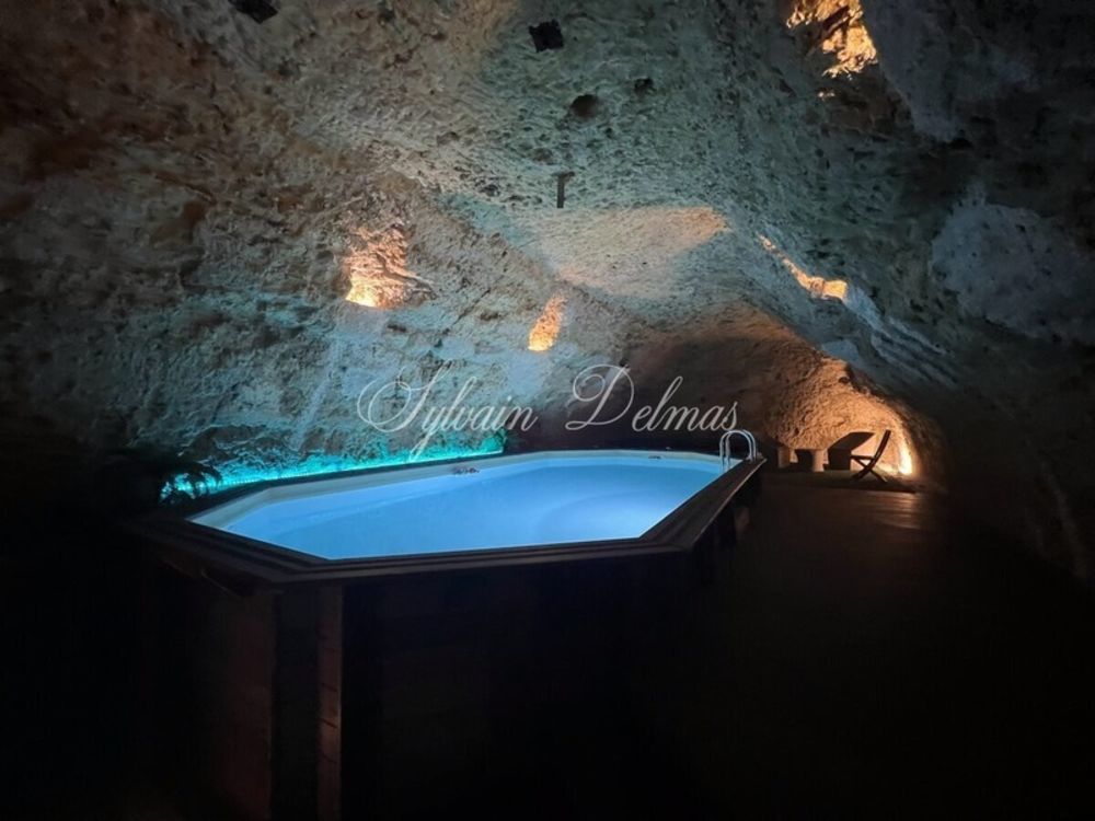 � vendre  Propri�t�/ch�teau Amboise (37400)