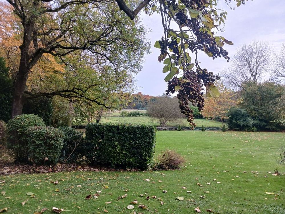 � vendre  Propri�t�/ch�teau Chantilly (60500)