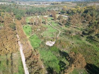  Terrain � vendre 35648 m�