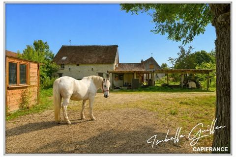   Propri�te � vendre : 2 maisons et 4.5 hectares TOUCHAY (18) Propri�t�/ch�teau - 4 pi�ce(s) - 118 m�