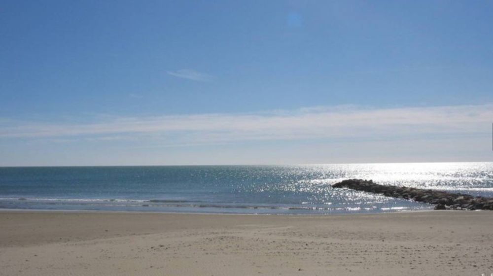 � vendre  Appartement Carnon Plage (34280)