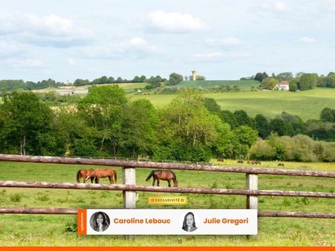   Propri�t� �questre professionnelle d'exception � Perche Propri�t�/ch�teau - 3 pi�ce(s) - 40 m�