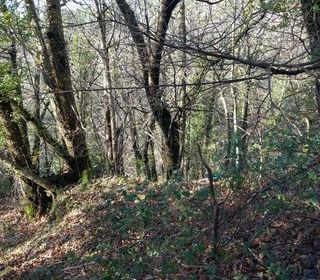  Terrain � vendre 6393 m�