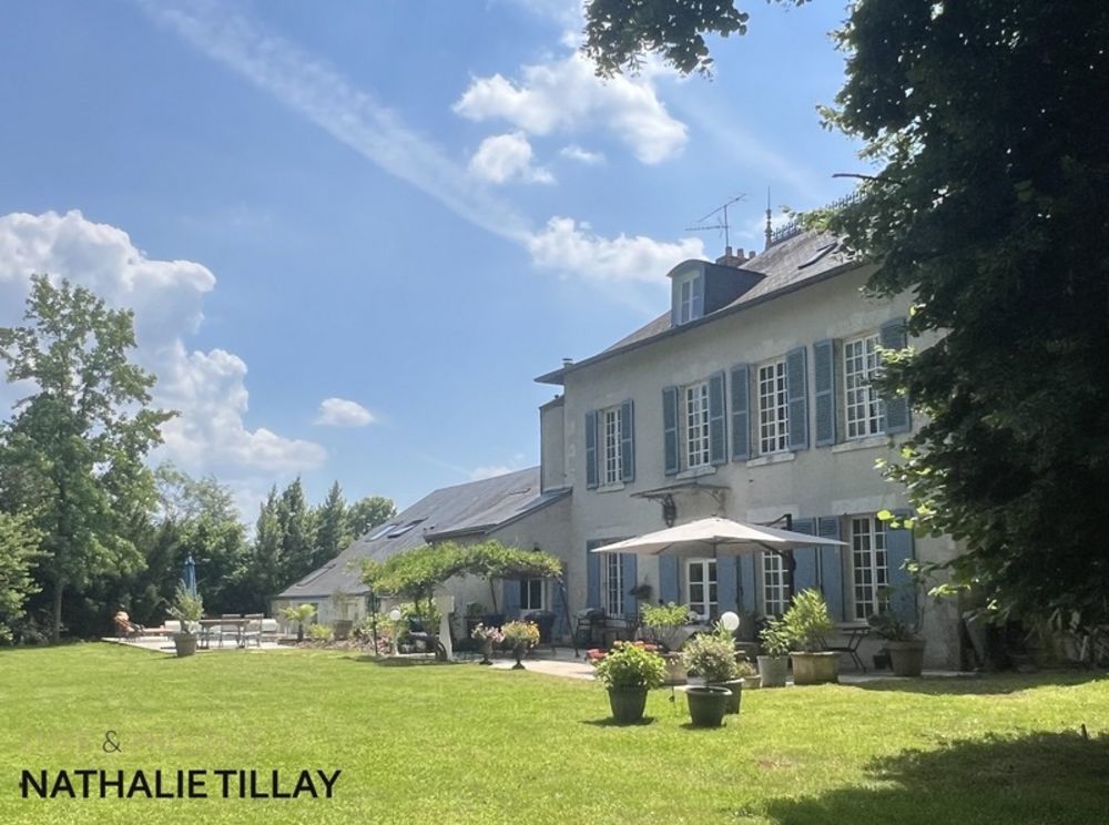 � vendre  Propri�t�/ch�teau Saint-Jean-le-Blanc (45650)