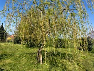  Maison � vendre 6 pi�ces 165 m�