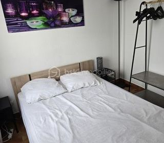  Duplex/triplex � vendre 3 pi�ces 38 m�