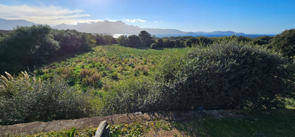 � vendre  Maison Lumio (20260)