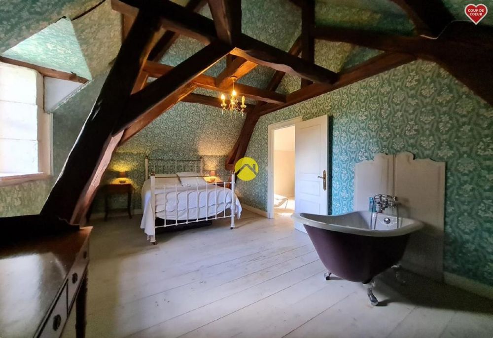 � vendre  Propri�t�/ch�teau Lu�ay-le-M�le (36360)