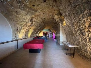  Propri�t�/ch�teau � vendre 14 pi�ces 558 m�