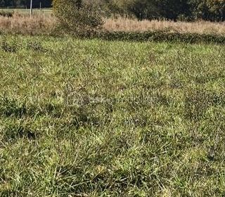  Terrain � vendre 1500 m�