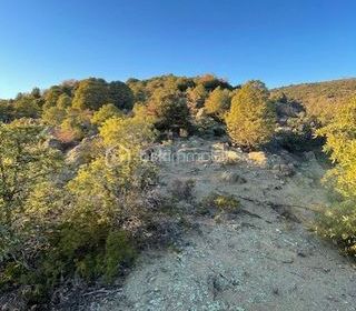  Terrain � vendre 2533 m�
