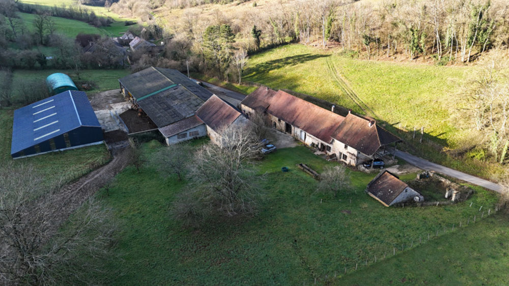 � vendre  Propri�t�/ch�teau Beaufort (39190)