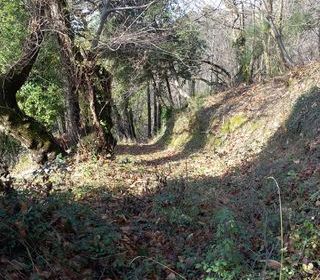  Terrain � vendre 6393 m�