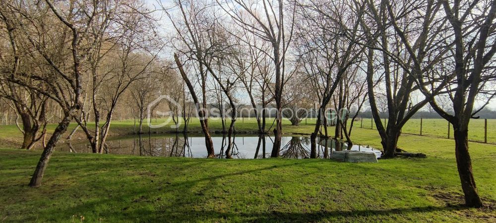 � vendre  Propri�t�/ch�teau Luynes (37230)