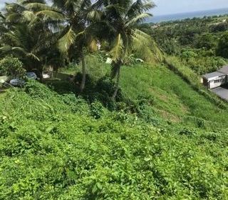  Terrain � vendre 688 m�