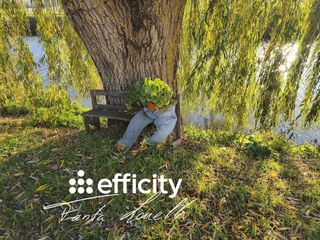  Maison � vendre 15 + pi�ces 320 m�