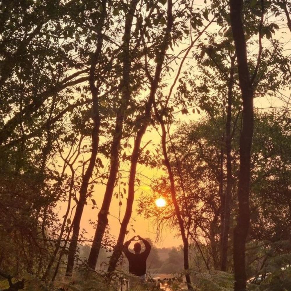 � vendre  Propri�t�/ch�teau Poitiers (86000)