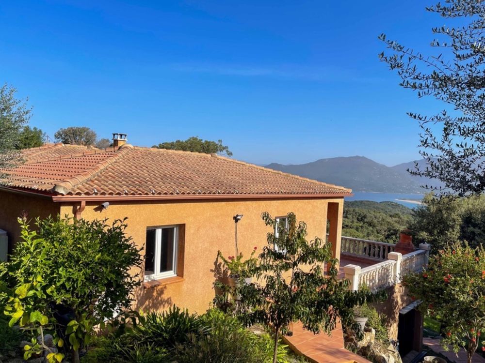 � vendre  Maison Belv�d�re-Campomoro (20110)