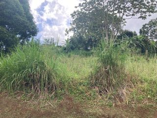  Terrain � vendre 1424 m�