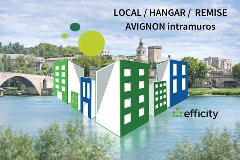 Locaux/Biens immobiliers 410000 84000 Avignon