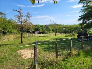  Maison � vendre 15 + pi�ces 450 m�