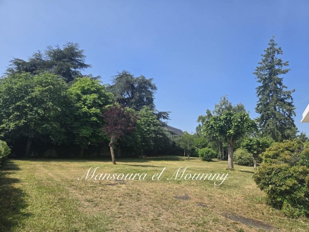 � vendre  Propri�t�/ch�teau Ch�teau-Renault (37110)